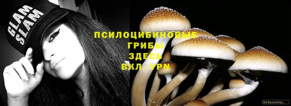 a pvp Алзамай