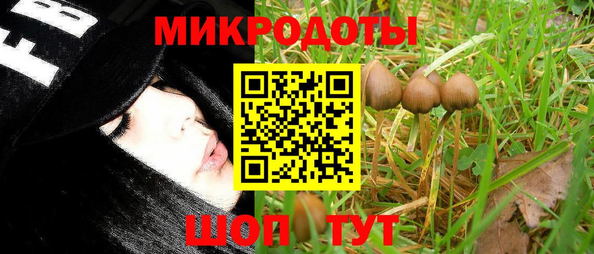 Галлюциногенные грибы ЛСД  Псилоцибиновые грибы Psilocybe  Вход с VPN  Похвистнево 